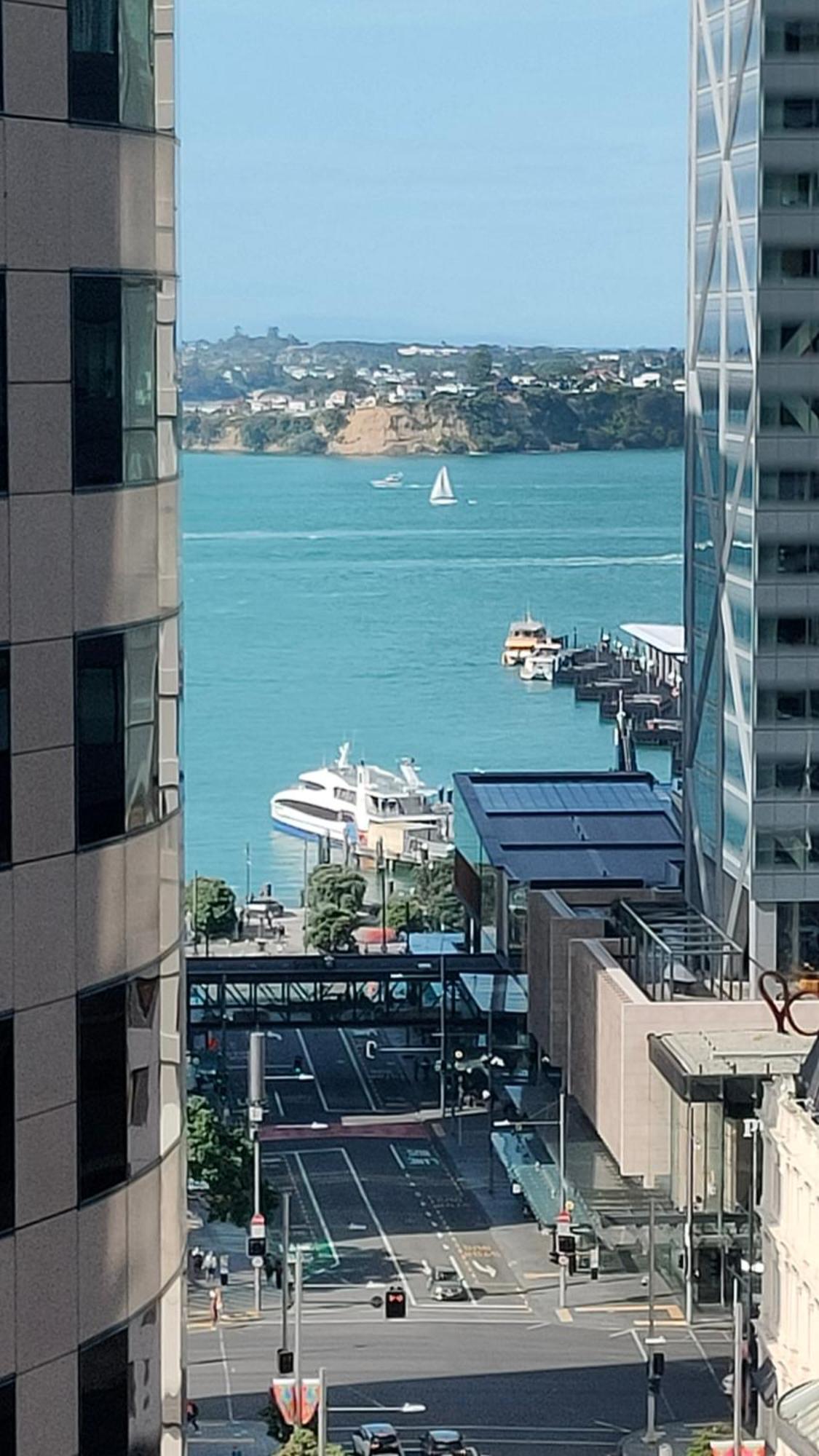 20 Pct Off Sky Stars Park Apartment Auckland Rum bild