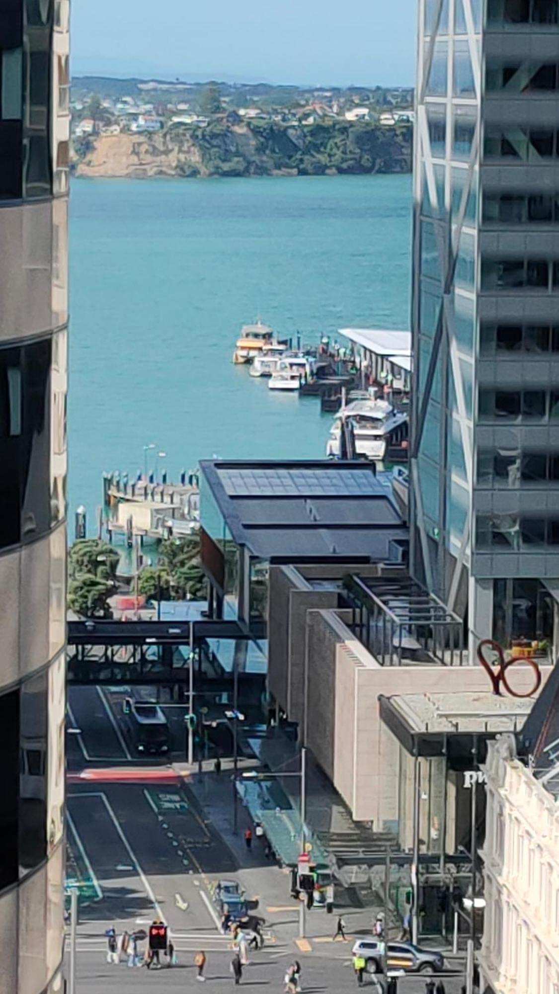 20 Pct Off Sky Stars Park Apartment Auckland Exteriör bild