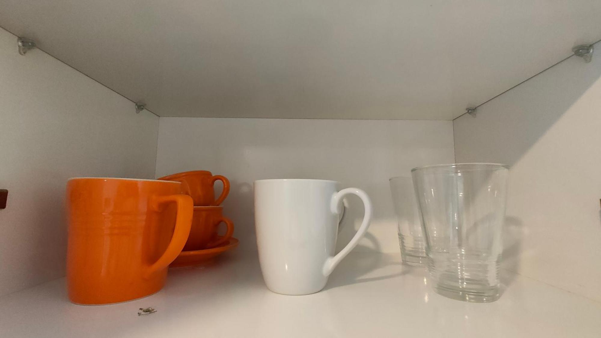 20 Pct Off Sky Stars Park Apartment Auckland Exteriör bild